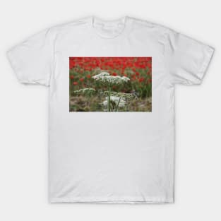 bright red glowing poppy in a field of wild uncultivated flowers T-Shirt